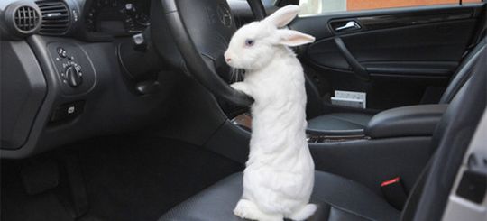 В «Автодоре» решают, как наказывать «зайцев» за проезд по платным дорогам