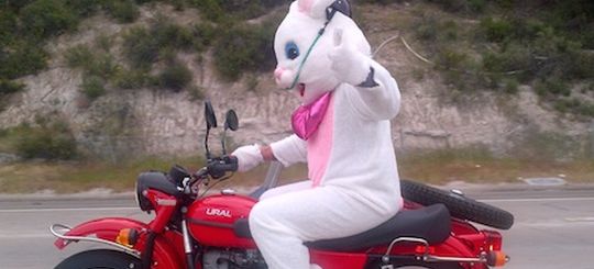 Халява, сэр! Почему «зайцев» на мотоциклах никто не штрафует за проезд по платным трассам?