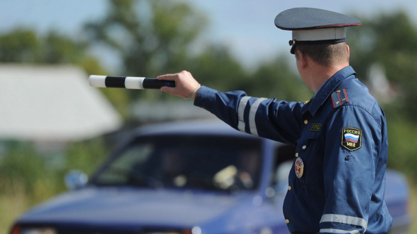 В РФ автомобилистов, перевозящих ширпотреб, не будут штрафовать за мелкие нарушения ПДД
